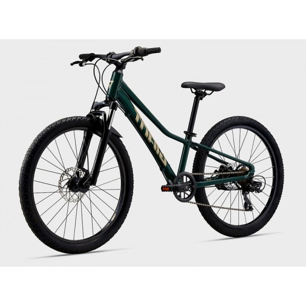 Children Bike Giant Talon 24 Disc